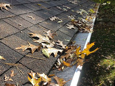 Gutter Cleaning