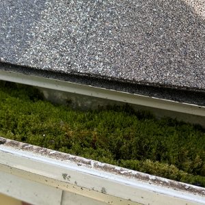 Call Our Service Department