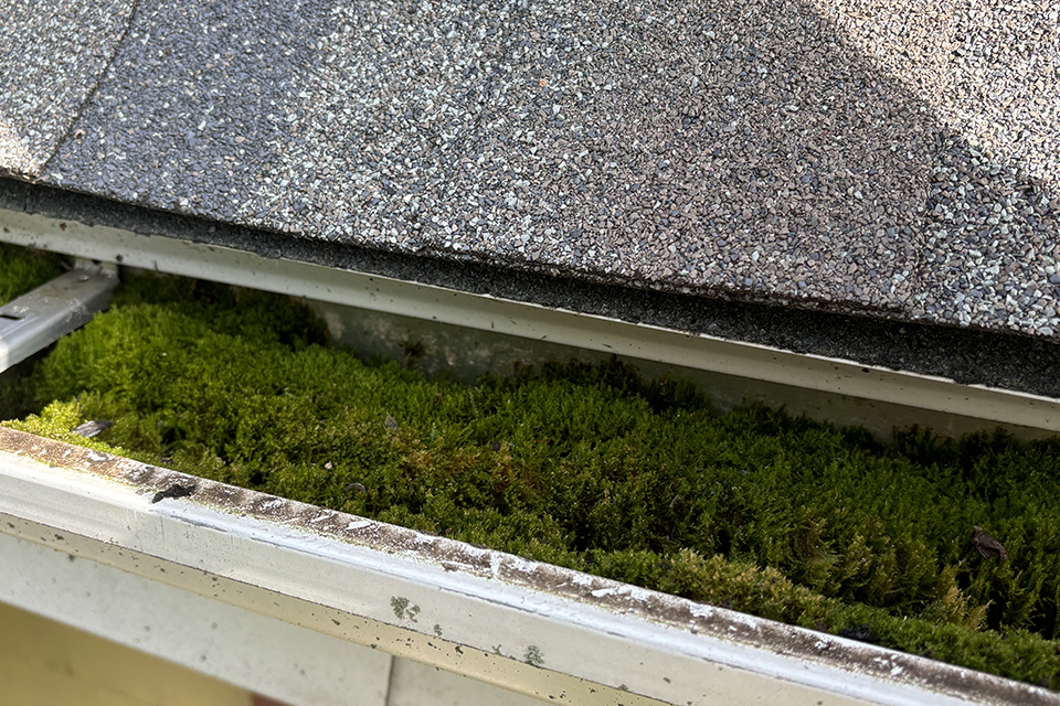 Call Our Service Department