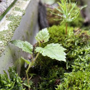 Call Our Service Department