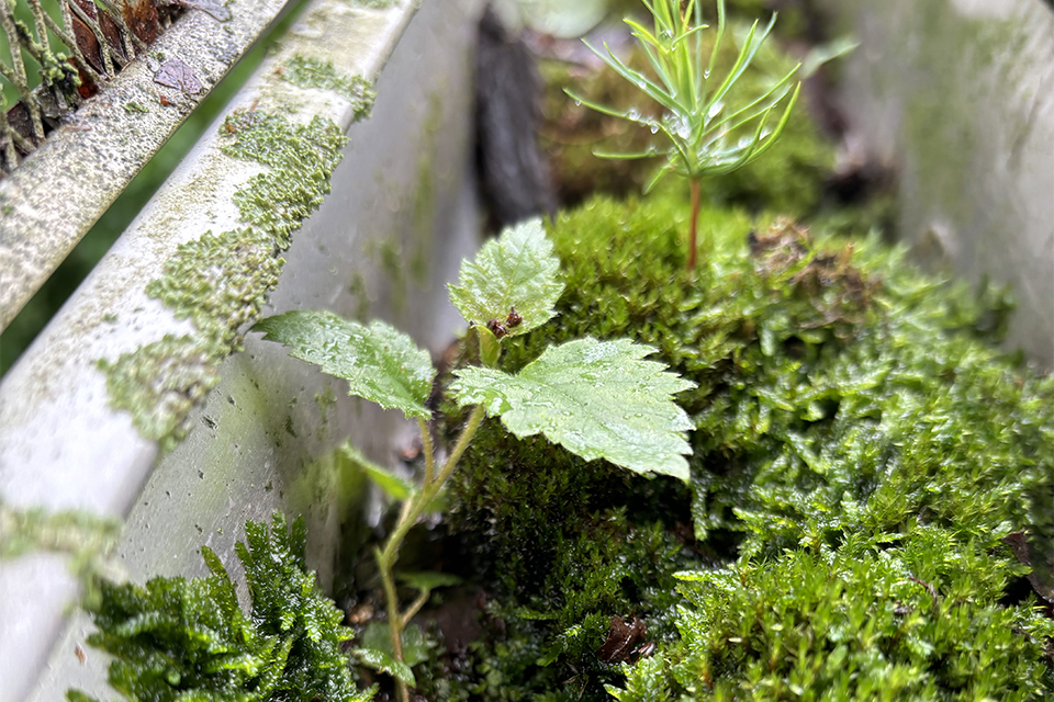 Call Our Service Department