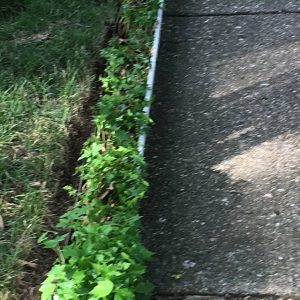 Call Our Service Department