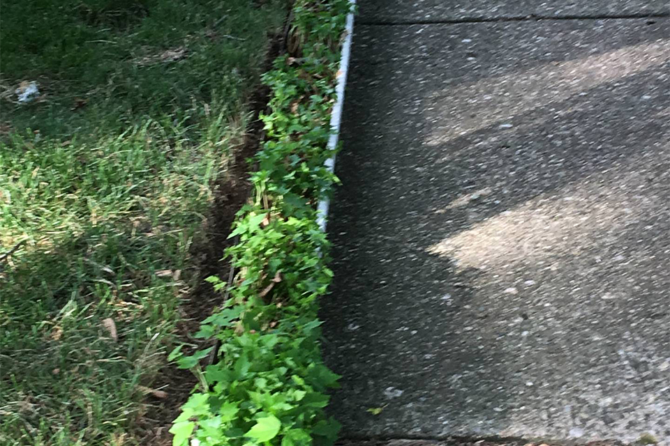 Call Our Service Department