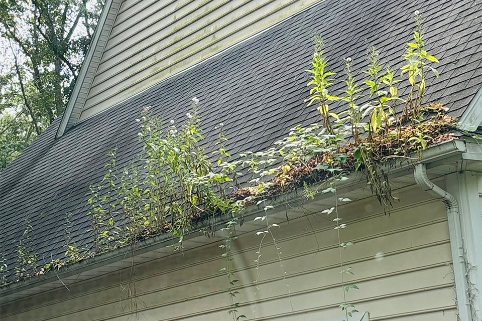 Call Our Service Department