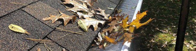 Gutter Cleaning