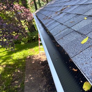 Gutter Guard