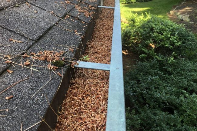 Gutter Cleaning