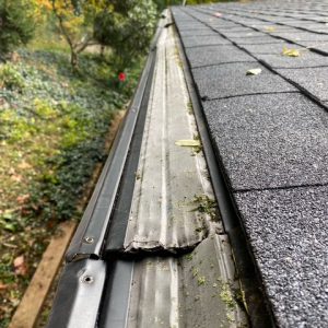 Broken Gutter Guards