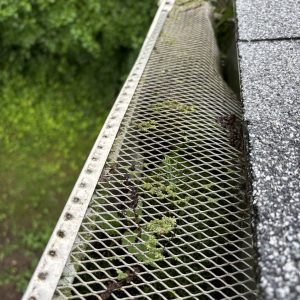 Broken Gutter Guards