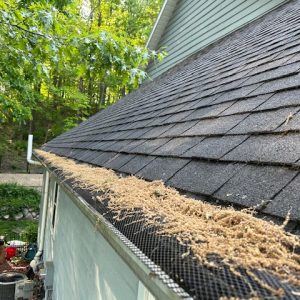 Broken Gutter Guards