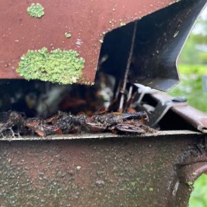 Broken Gutter Guards