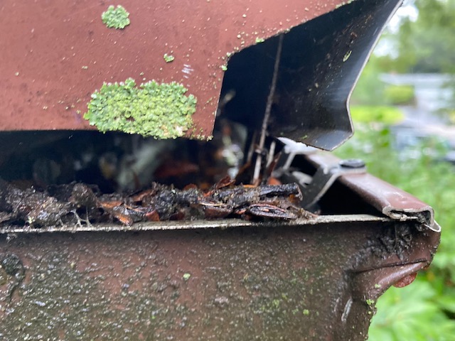 Broken Gutter Guards