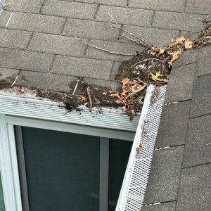 Call Our Service Department