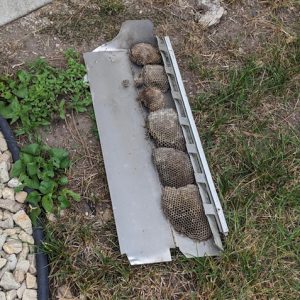 Broken Gutter Guards