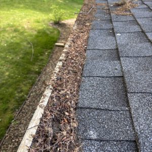 Call Our Service Department