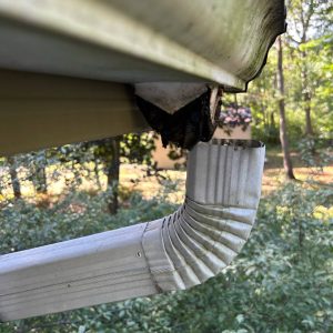 Call Our Service Department