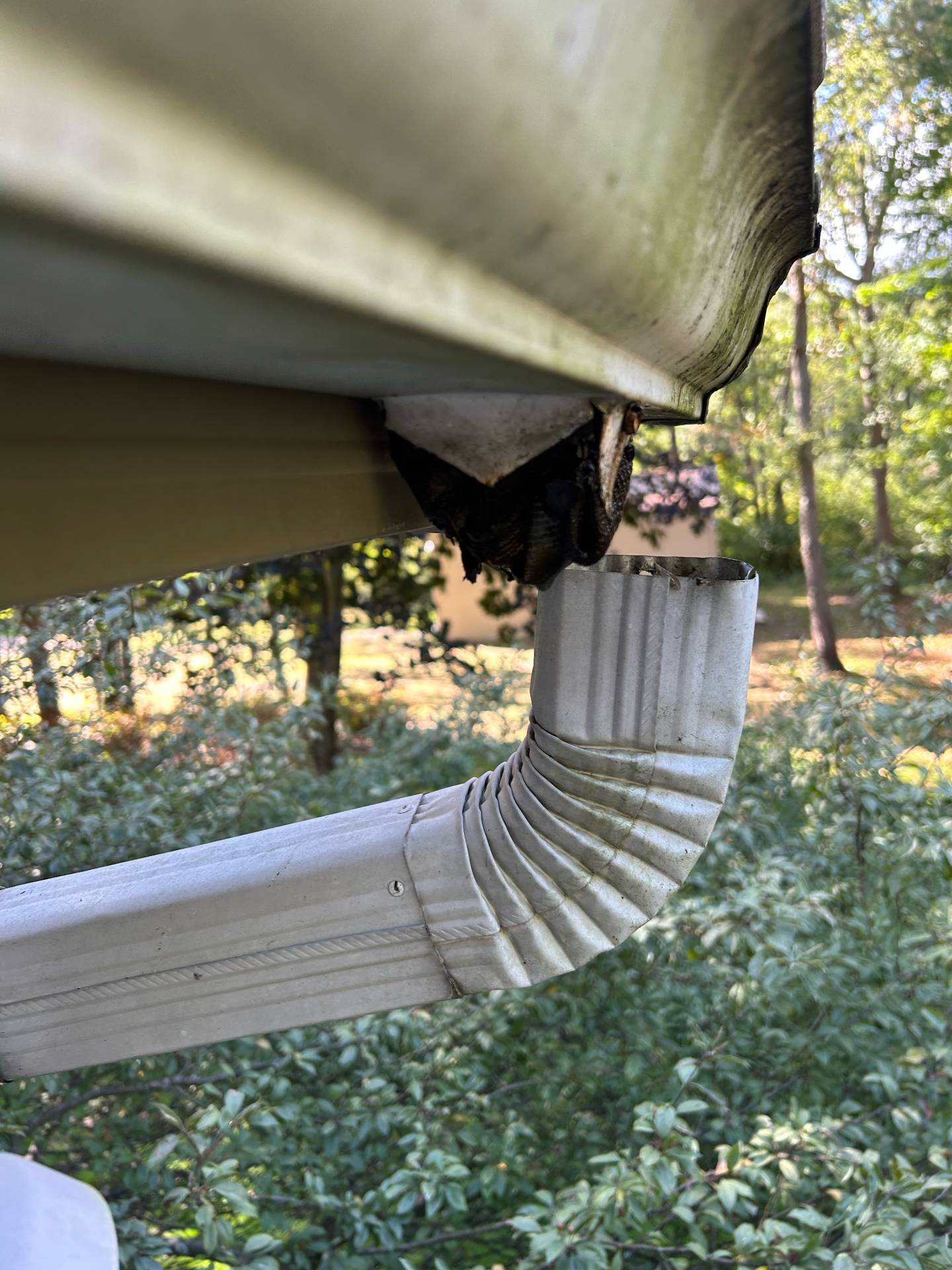 Call Our Service Department